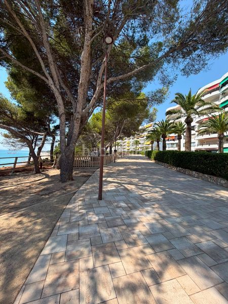 Foto ba28841d-f42d-4fdc-9fd4-bdd0fde21248. Pis amb calefacció aparcament a Passeig Marítim Miami Platja