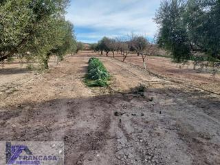 Terreny residencial a Cieza. Ciezaterreno