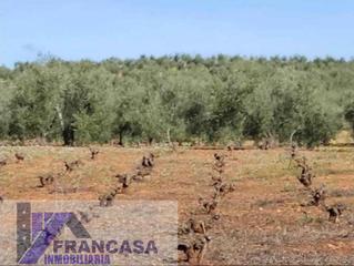 Mas à Carretera de Sevilla - Los Montitos. Badajozfinca rustica