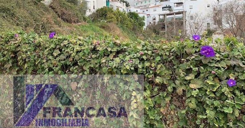 Foto 31299cd6-8e51-4ddc-9e38-57ee6dce3c19. Terreno residenziale in Cómpeta