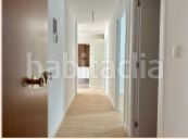 Foto a537b2a4-f671-4a98-a9fc-8c7ead8ea609. Pis a Rafelbunyol