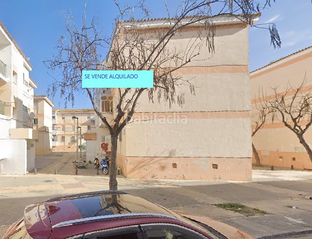 Foto 98ff4992-cb3a-41a6-a460-8e7703d864ef. Pis a Isla Cristina