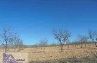 Residential Plot in Jumilla. Ciezaterreno