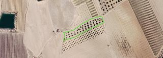Terreny residencial a Jumilla
