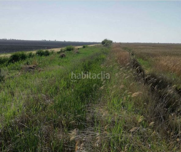 Foto cffb4881-5f43-4dbe-8ade-44c08eab00b9. Masia a Llosa (la)