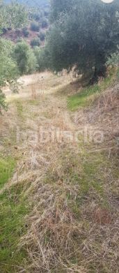 Foto 3f43a1fa-004b-477a-be3e-0109c3e63969. Masia a Villacarrillo