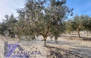 Masia a Churra. Murciafinca rustica