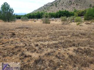 Terreny residencial a Cieza. Ciezaterreno