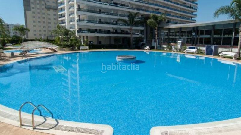 Foto e756dfe9-f82e-44a7-97ae-1eb877f0e650. Apartament amb piscina a Playa de Gandía Gandia