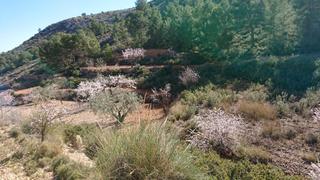 Residential Plot in Totana. Se vende parcela en totana murcia