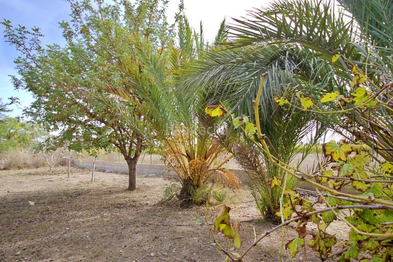 Foto 285c3956-9acb-444d-bb22-4c6d847d7619. Chalet avec parking piscine dans Valverde Elche / Elx