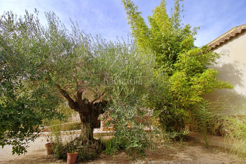 Foto 43ca9aaa-da67-4b88-87da-ee3cfbd36974. Chalet avec parking piscine dans Valverde Elche / Elx