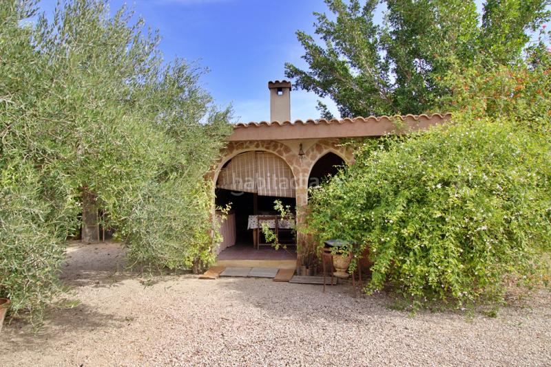 Foto 8b2da7a1-f902-46e4-878d-c633a286d45d. Chalet avec parking piscine dans Valverde Elche / Elx