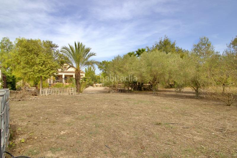 Foto 9029f38b-0cf2-4511-bbf7-a54f8dc70fac. Chalet avec parking piscine dans Valverde Elche / Elx