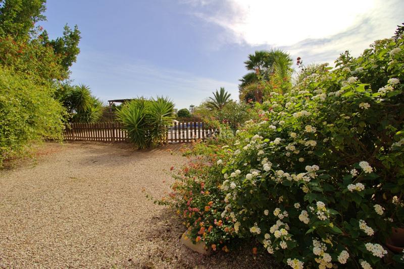 Foto b4e8639a-8666-4726-8985-f122f6a2cbe5. Chalet avec parking piscine dans Valverde Elche / Elx