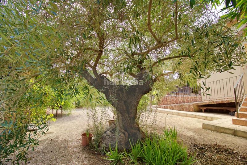 Foto c2cb030a-49fc-47d4-8287-22f61683cb04. Chalet avec parking piscine dans Valverde Elche / Elx