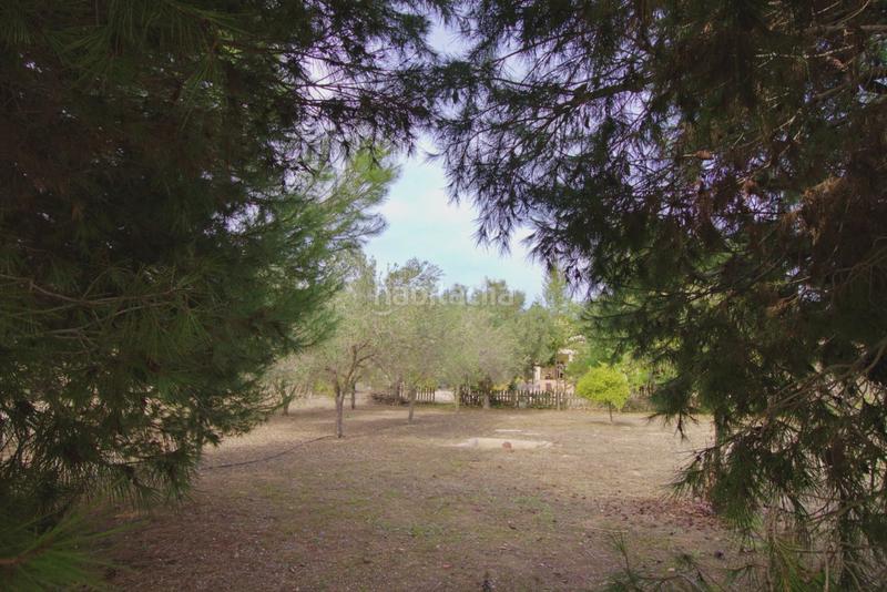 Foto d643fb31-8df7-42b5-bb5b-81dd329302e9. Chalet avec parking piscine dans Valverde Elche / Elx