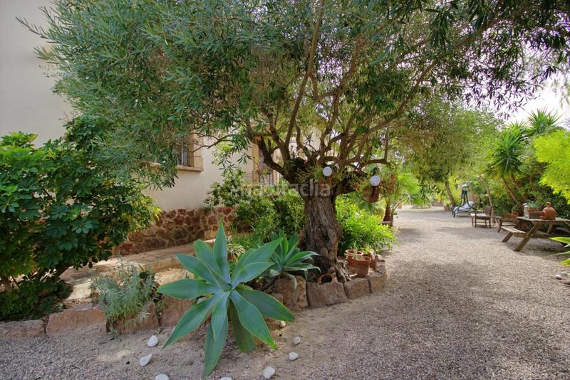 Foto d97e9081-3aba-46ca-b592-0c4be15f09ce. Chalet avec parking piscine dans Valverde Elche / Elx