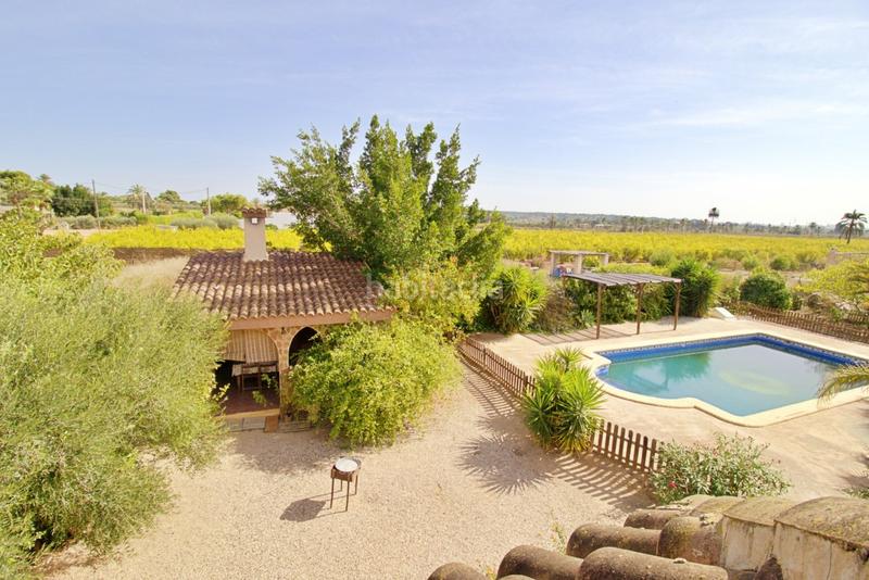 Foto f7a35623-78f6-4911-86c4-75723494efd4. Chalet avec parking piscine dans Valverde Elche / Elx