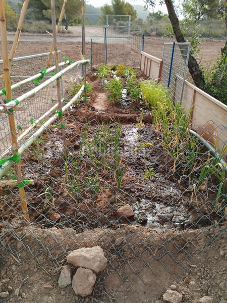 Foto ee28be1e-0afd-419b-a6ba-5690327c5602. Terreno residenziale in Aledo