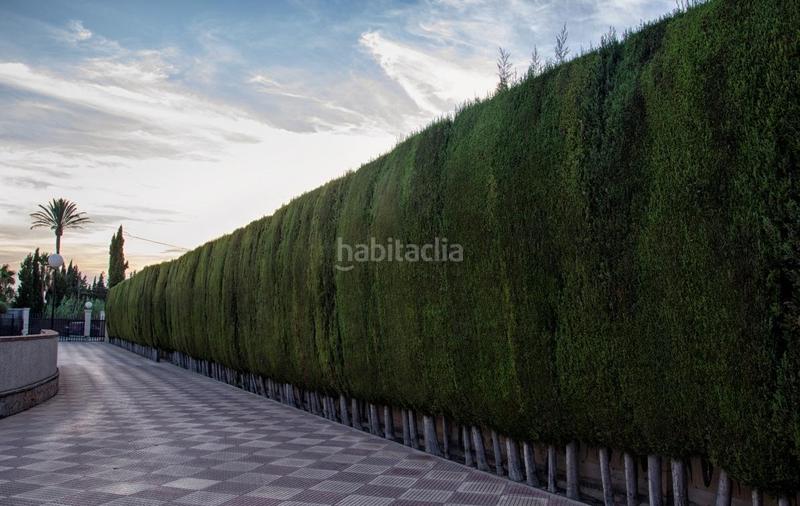 Foto 0ebeff80-df23-4c36-8d46-6e593de9ab9d. Chalet mit heizung parking pool in Perleta - Maitino Elche / Elx