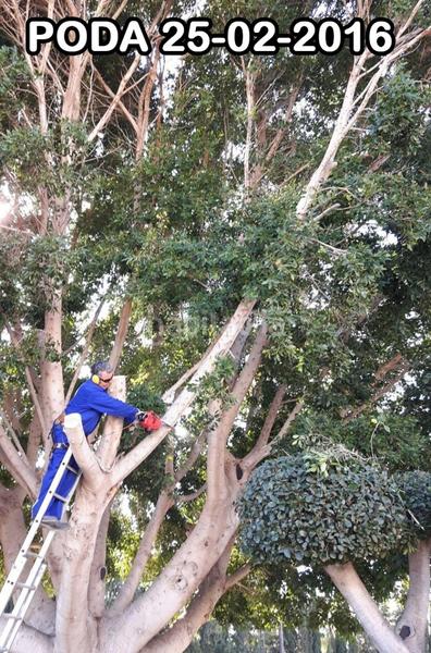 Foto 6359b3b1-b5ac-4d51-896f-5d83e97c65ac. Chalet mit heizung parking pool in Perleta - Maitino Elche / Elx