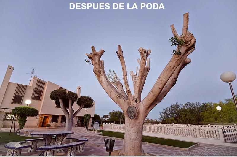 Foto fb89571c-e577-43ed-9149-3563c4950e09. Chalet mit heizung parking pool in Perleta - Maitino Elche / Elx