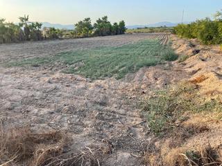 Finca rústica en La Foia - Daimés - Asprella