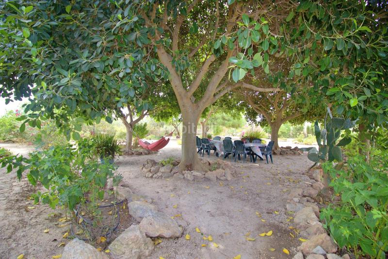 Foto 62547322-af3d-41bb-b9a1-a9e27319078a. Chalet with parking pool in La Foia - Daimés - Asprella Elche / Elx