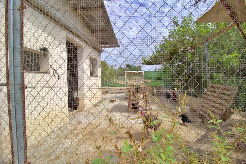 Foto 646fcd1b-03d4-43cc-bb28-7e142f885a77. Chalet with parking pool in La Foia - Daimés - Asprella Elche / Elx