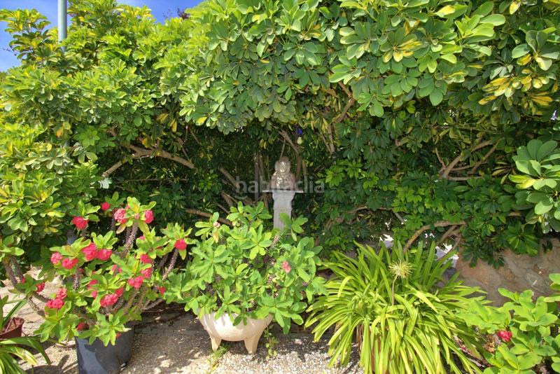 Foto 84ddde39-4be9-4261-a590-6b7bf1ed7342. Chalet with parking pool in La Foia - Daimés - Asprella Elche / Elx