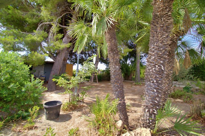 Foto b8c28a5d-8c2c-40fd-b542-6f3b34dcb010. Chalet with parking pool in La Foia - Daimés - Asprella Elche / Elx