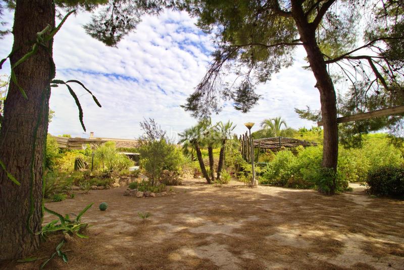 Foto c2b16f8d-6ceb-419c-a098-5a25cf396119. Chalet with parking pool in La Foia - Daimés - Asprella Elche / Elx