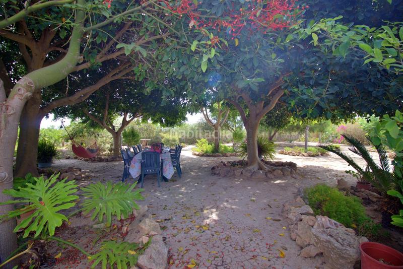 Foto d0a58541-75c1-49c8-81e9-0dde9a24ef47. Chalet with parking pool in La Foia - Daimés - Asprella Elche / Elx