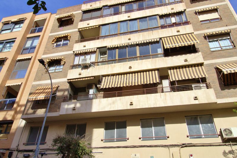 Foto b9bf26b6-fc8a-4e8a-b900-d52820447d35. Pis a Babel Alicante