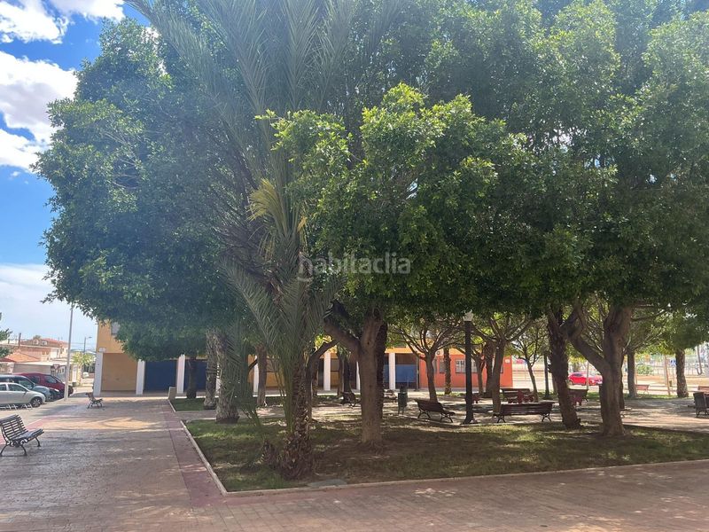 Foto 039075f9-32b0-4e80-8f39-42950ae2aaf4. Pis a Carrús Oeste Elche / Elx