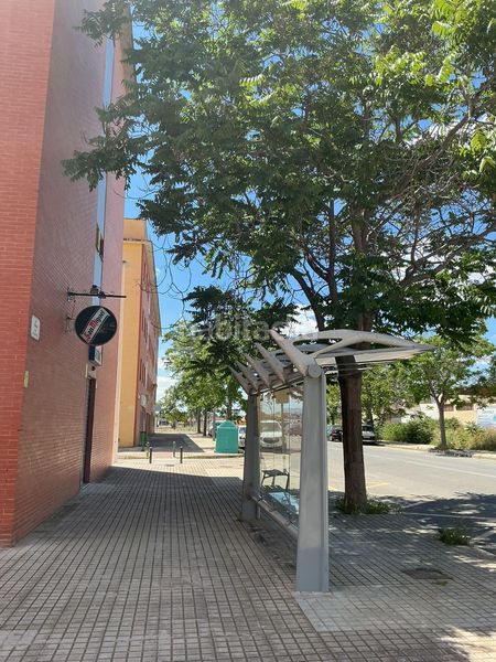 Foto 3e46e75a-d883-4e19-ab68-8a4ebe1d609e. Pis a Carrús Oeste Elche / Elx