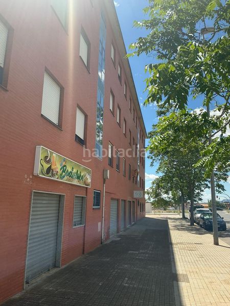 Foto 51d07507-49a0-40a0-a3e6-f8a38d5a8546. Pis a Carrús Oeste Elche / Elx