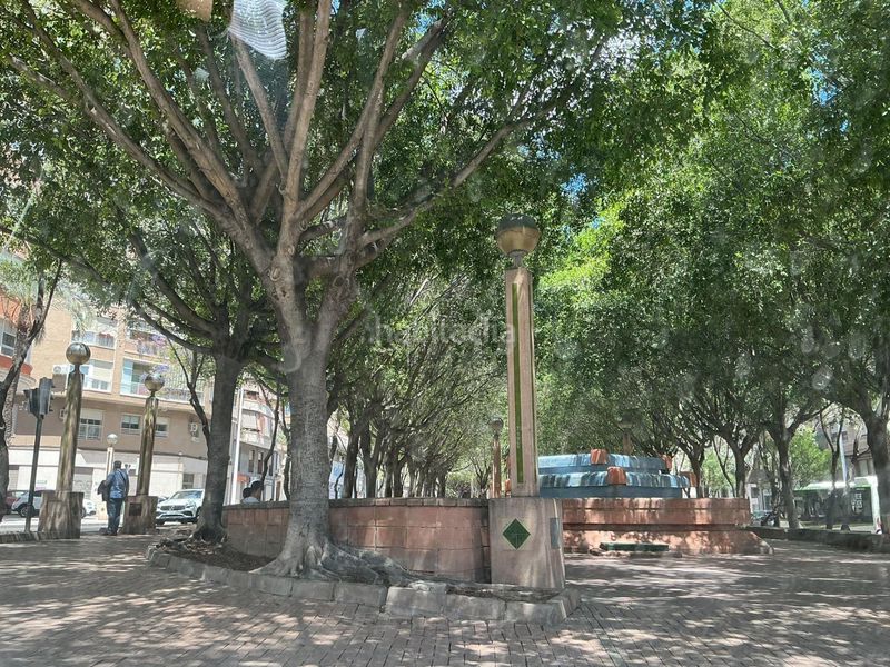 Foto fbc09e95-7f25-4061-9d43-a5208f15db84. Pis a Carrús Oeste Elche / Elx