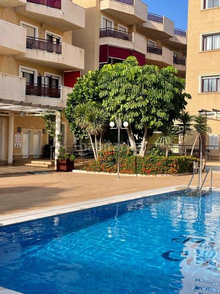 Foto 201f48d0-97d4-485a-a950-b193074453e6. Apartament amb aparcament a Aguamarina Orihuela