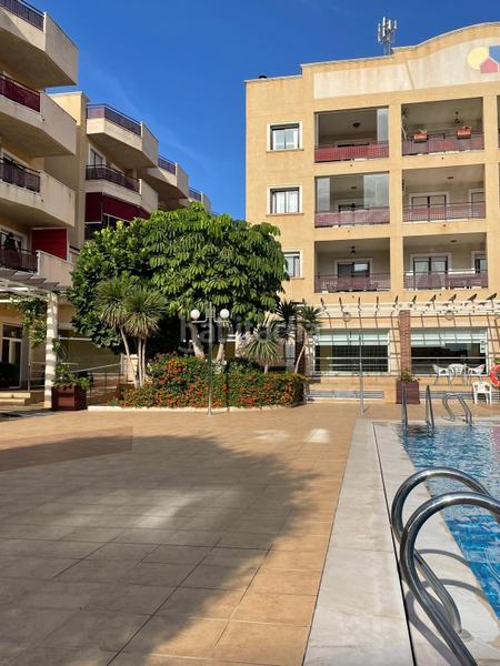 Foto da1cfb92-de60-48a0-8822-7a08f65cbd74. Apartament amb aparcament a Aguamarina Orihuela