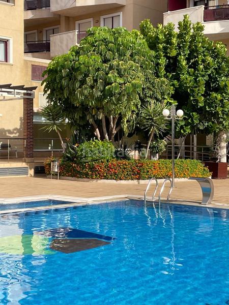 Foto f76f05e2-b42c-43a2-bd79-fcf0de0f3bd5. Apartament amb aparcament a Aguamarina Orihuela