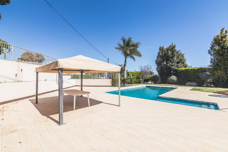 Foto 8a578306-e471-48dc-9628-b851921b0362. Chalet mit heizung parking pool in Peña de las Águilas Elche / Elx