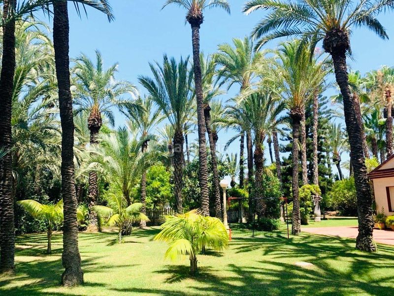 Foto 0d6d7a7d-183d-4788-a483-a8622f9af514. Xalet amb aparcament piscina a Alzabares Elche / Elx
