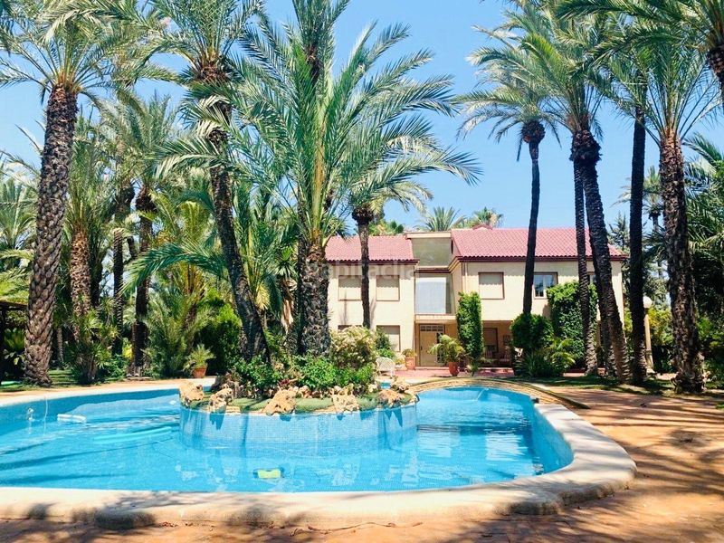 Foto affb6a9c-e1fb-45ae-baa0-7e39318274c7. Xalet amb aparcament piscina a Alzabares Elche / Elx