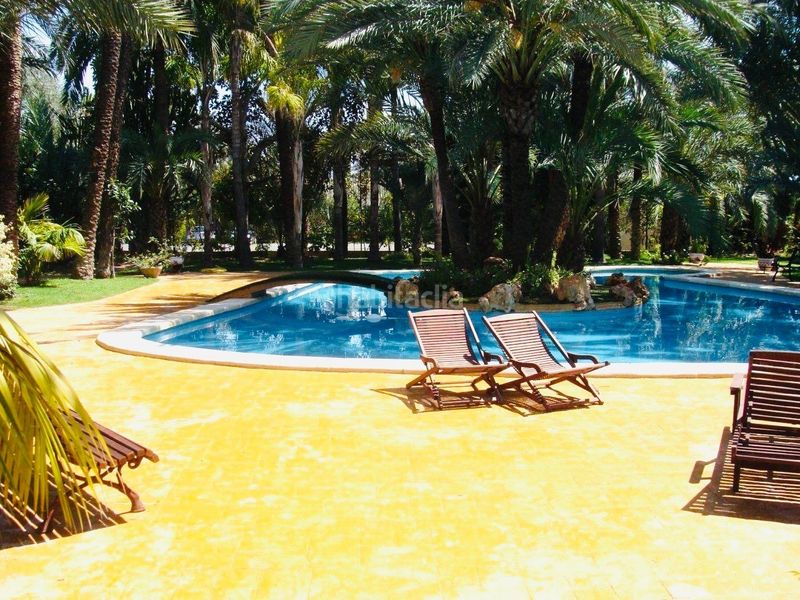 Foto f1dc1427-df88-4be8-a73a-cb793b6e3e8b. Xalet amb aparcament piscina a Alzabares Elche / Elx