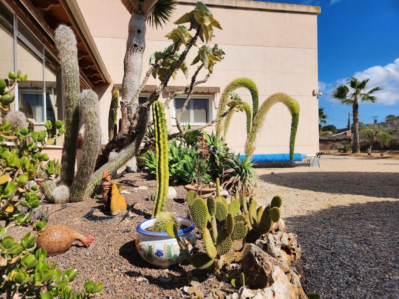 Foto fb68973f-7b7c-474a-94fc-662b5d918322. Chalet con riscaldamento parcheggio piscina in Molins - Campanete - San Bartolomé Orihuela