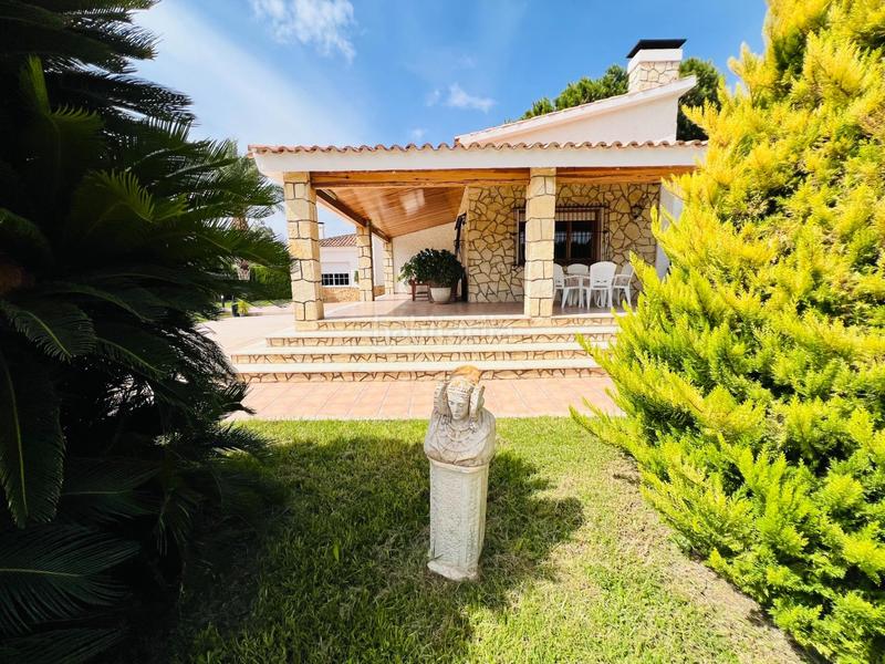 Foto 12104b72-872a-4b60-99df-14f9e156c506. Chalet  rústico en elche, zona perleta en Perleta - Maitino Elche / Elx