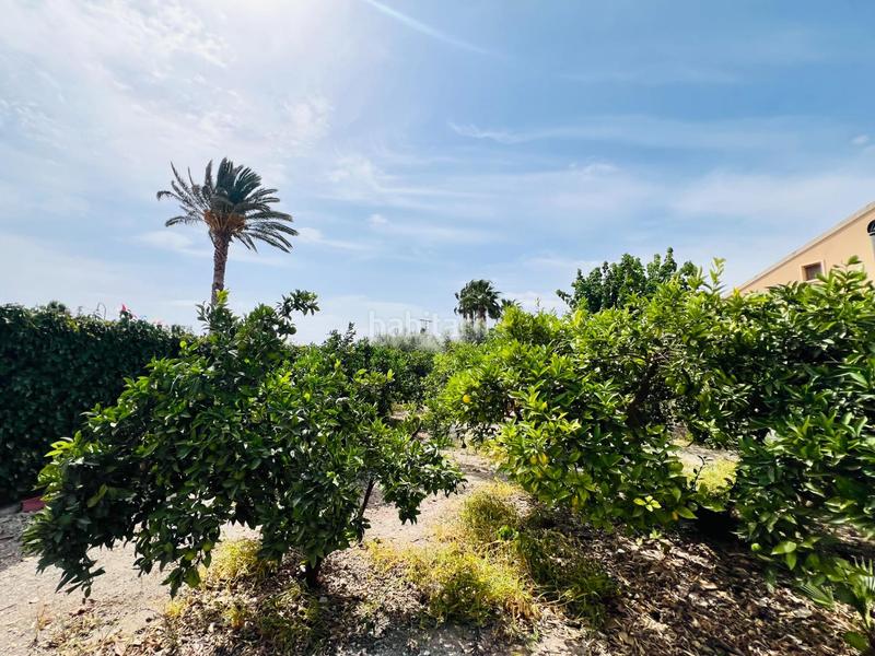 Foto 3a69b56d-730b-43c6-b623-8eefa2fad432. Chalet  rústico en elche, zona perleta en Perleta - Maitino Elche / Elx