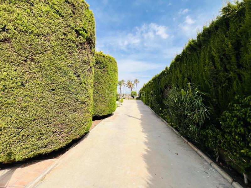 Foto c4452e7d-3da8-4a7a-befd-d89620c94197. Chalet  rústico en elche, zona perleta en Perleta - Maitino Elche / Elx